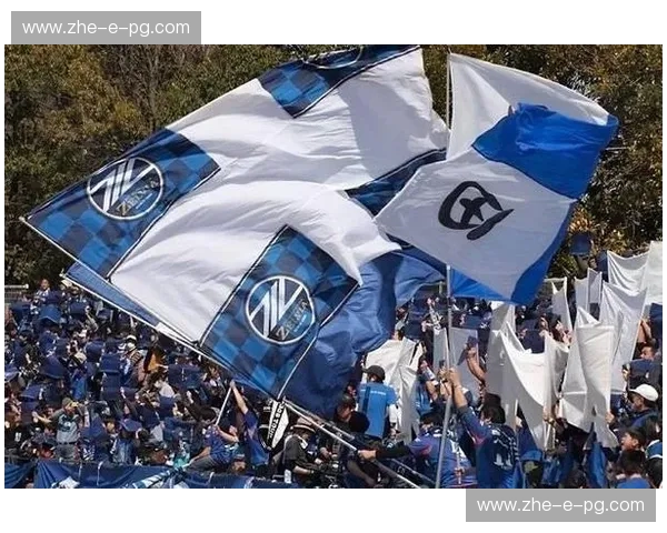 爱媛FCvs町田泽维亚：一场激情碰撞，谁将书写胜利的篇章？